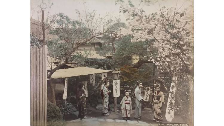 制作者不詳《（東京向島）》1882‐97年（明治中期）頃　鶏卵紙に手彩色　東京都写真美術館