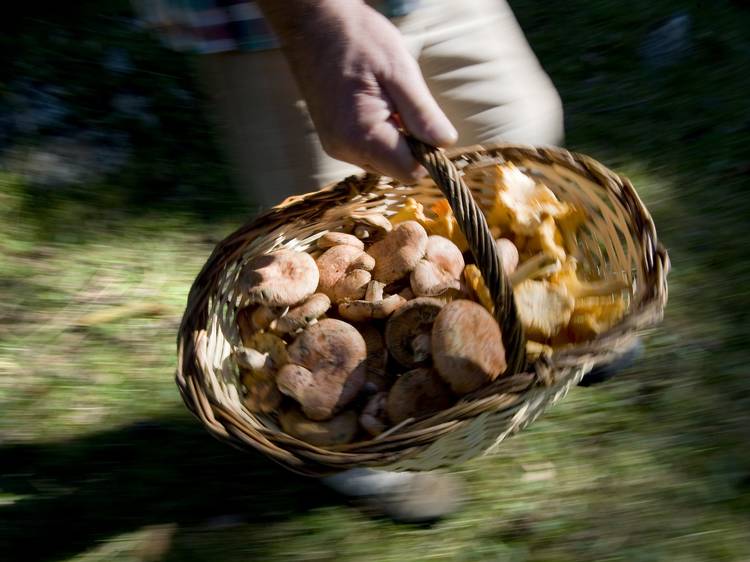 Una tradició ben feta