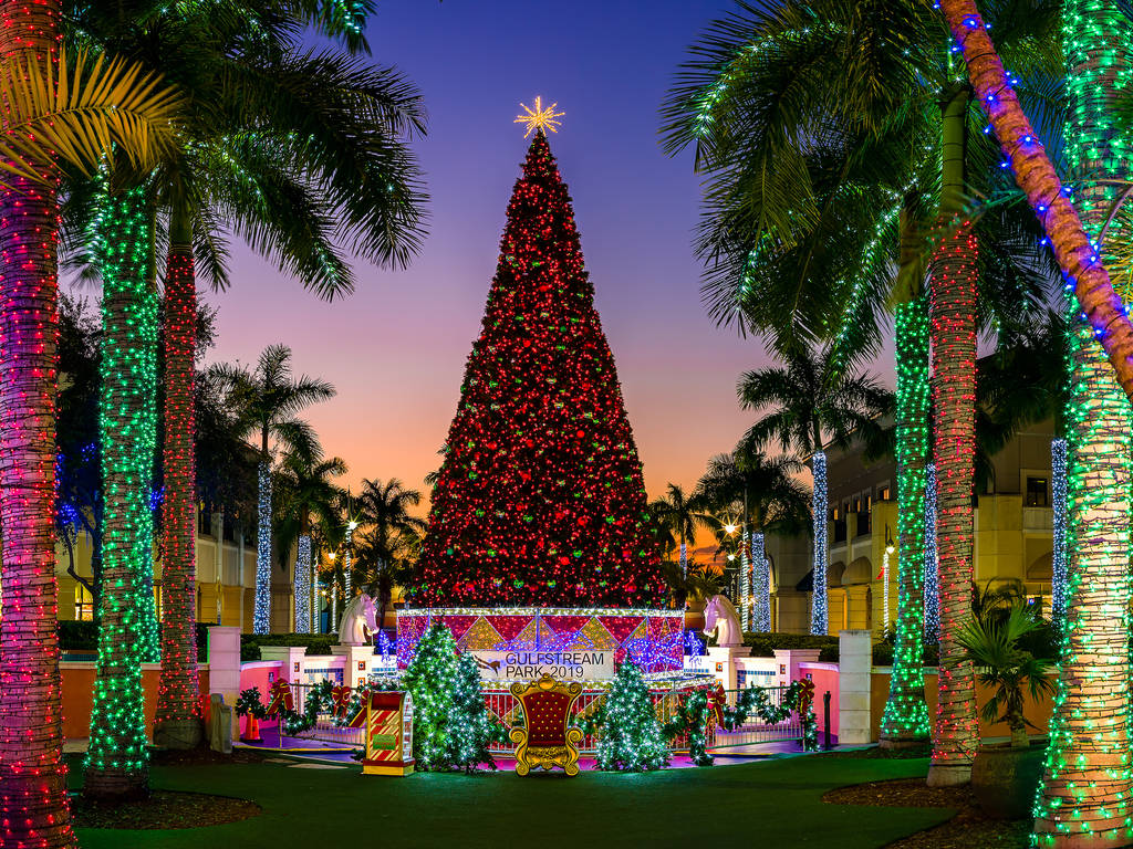 15 Spots to See Christmas Lights in Miami