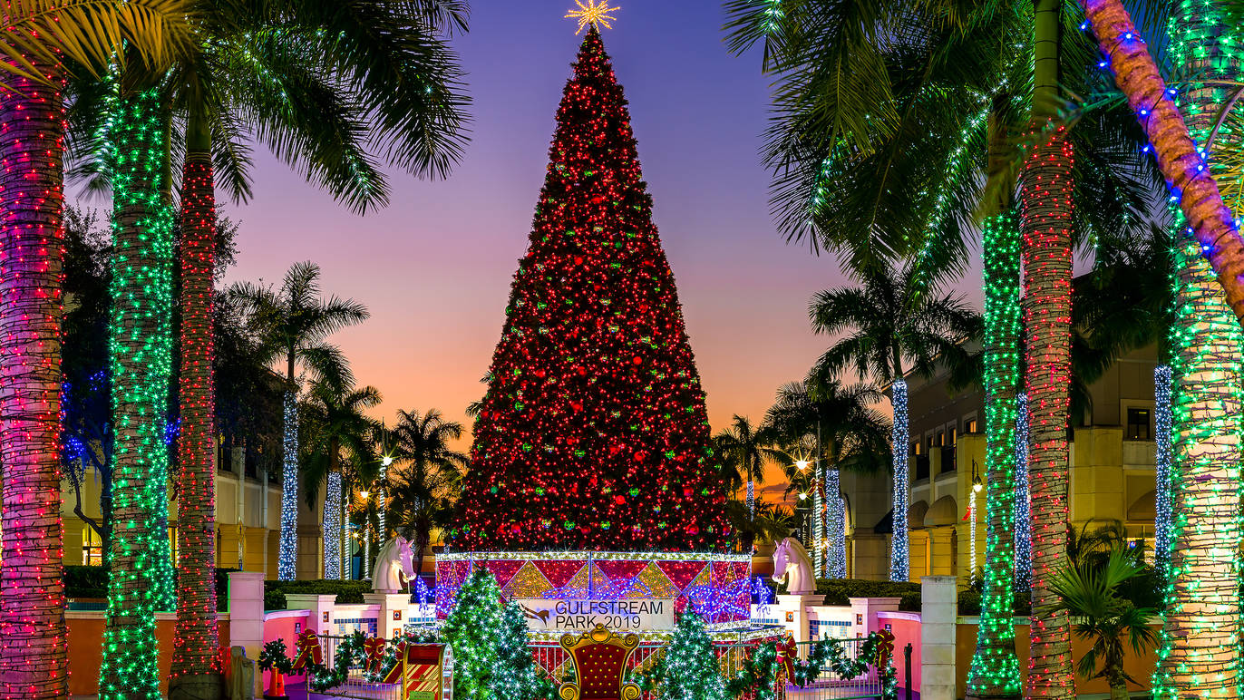 Christmas Lights In Miami Photos Cantik