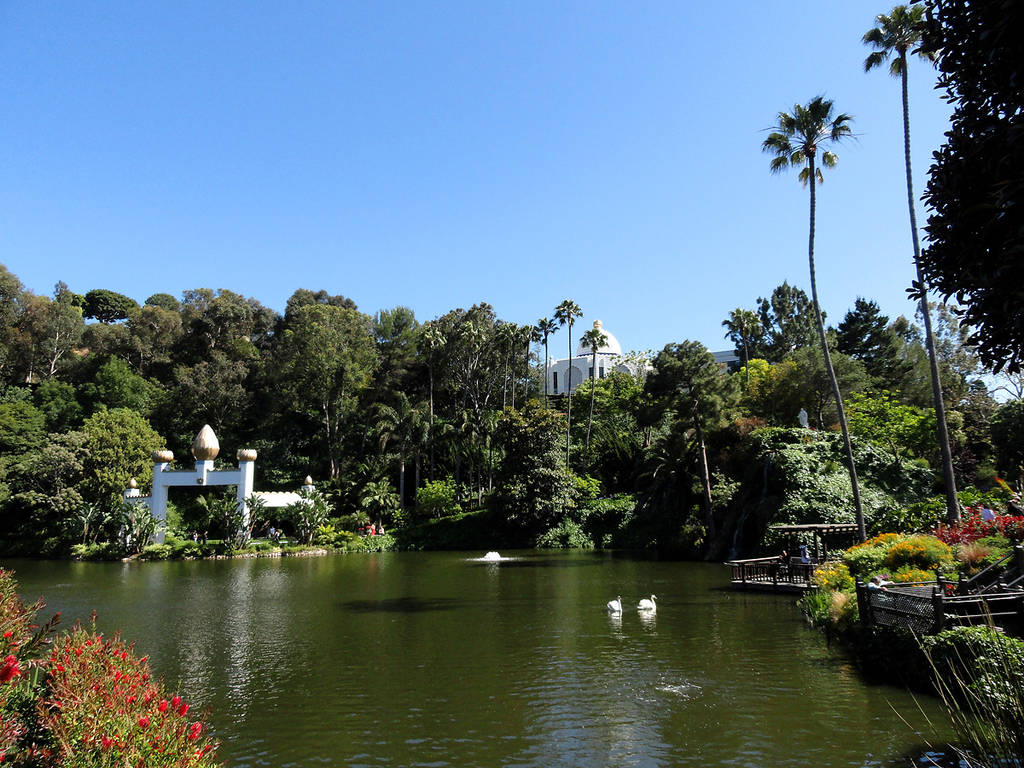 Best Botanical Gardens and Hidden Oases in Los Angeles