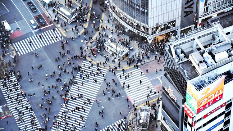 Tokyo Shibuya Crossing