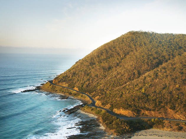 Lorne Great Ocean Road Lorne