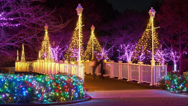 Tobu Zoo Winter Illumination