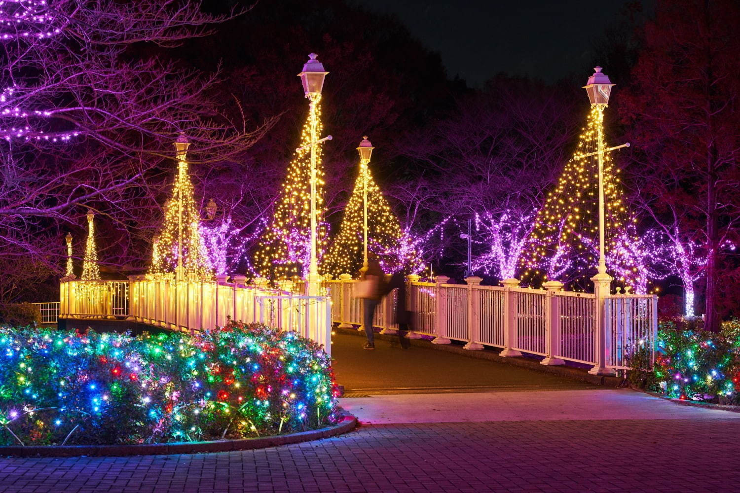 Tobu Zoo Winter Illumination | Museums in Tokyo