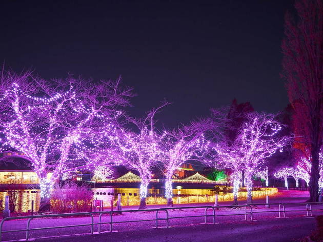 東武動物公園 ウインター イルミネーション