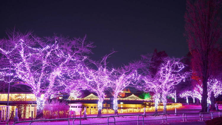 Tobu Zoo Winter Illumination