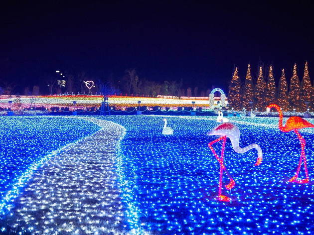 Tobu Zoo Winter Illumination | Tobu Zoo | Museums in Tokyo