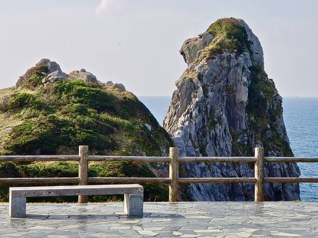 猿岩 猿岩