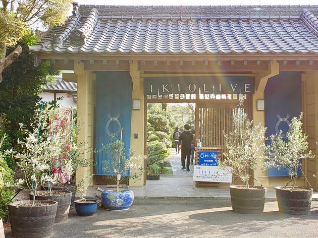 壱岐オリーブ園 壱岐オリーブ園