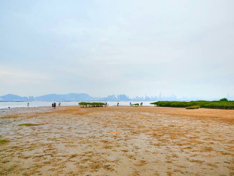 流浮山白泥終極指南