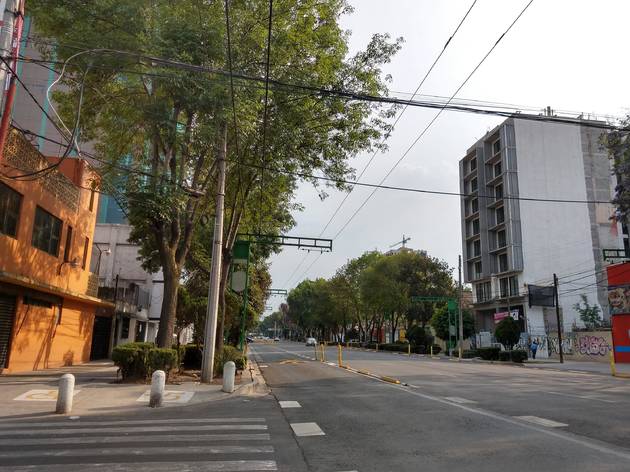 Calles de la CDMX vacías Avenida con edificios de fondo y sin autos