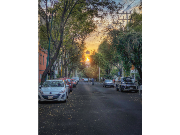 Calle de la CDMX con atardecer Calle de la CDMX con atardecer, árboles y algunos carros