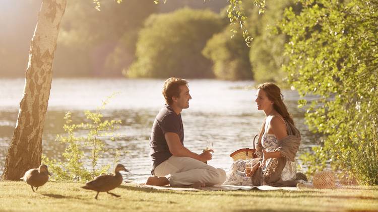 A couple having a picnic at sunset next to Lake Daylesford. Two ducks are walking past them