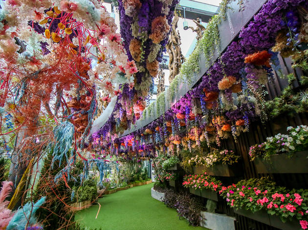 Floral Fantasy Floral Fantasy