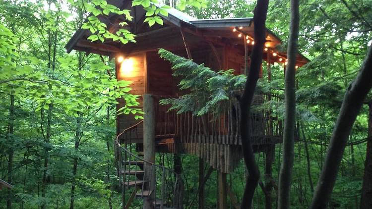 The Adirondack treehouse retreat in Middle Grove