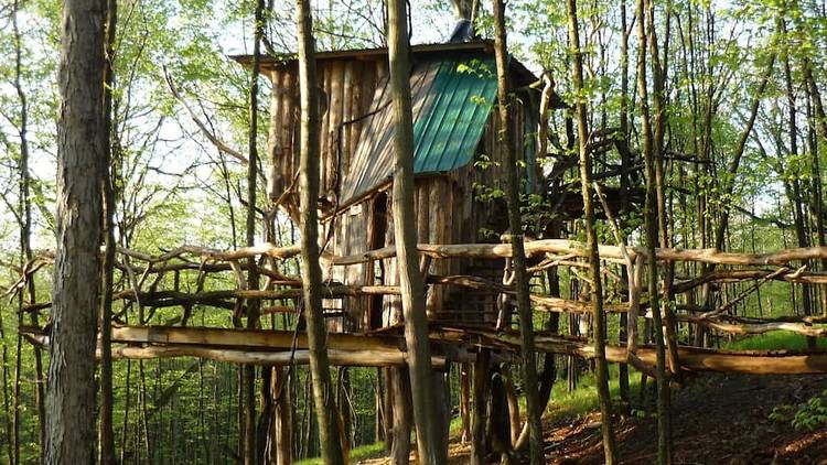 The Hermit Thrush treehouse in West Pawlet