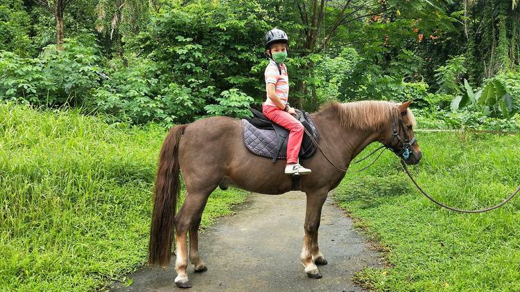 National Equestrian Centre