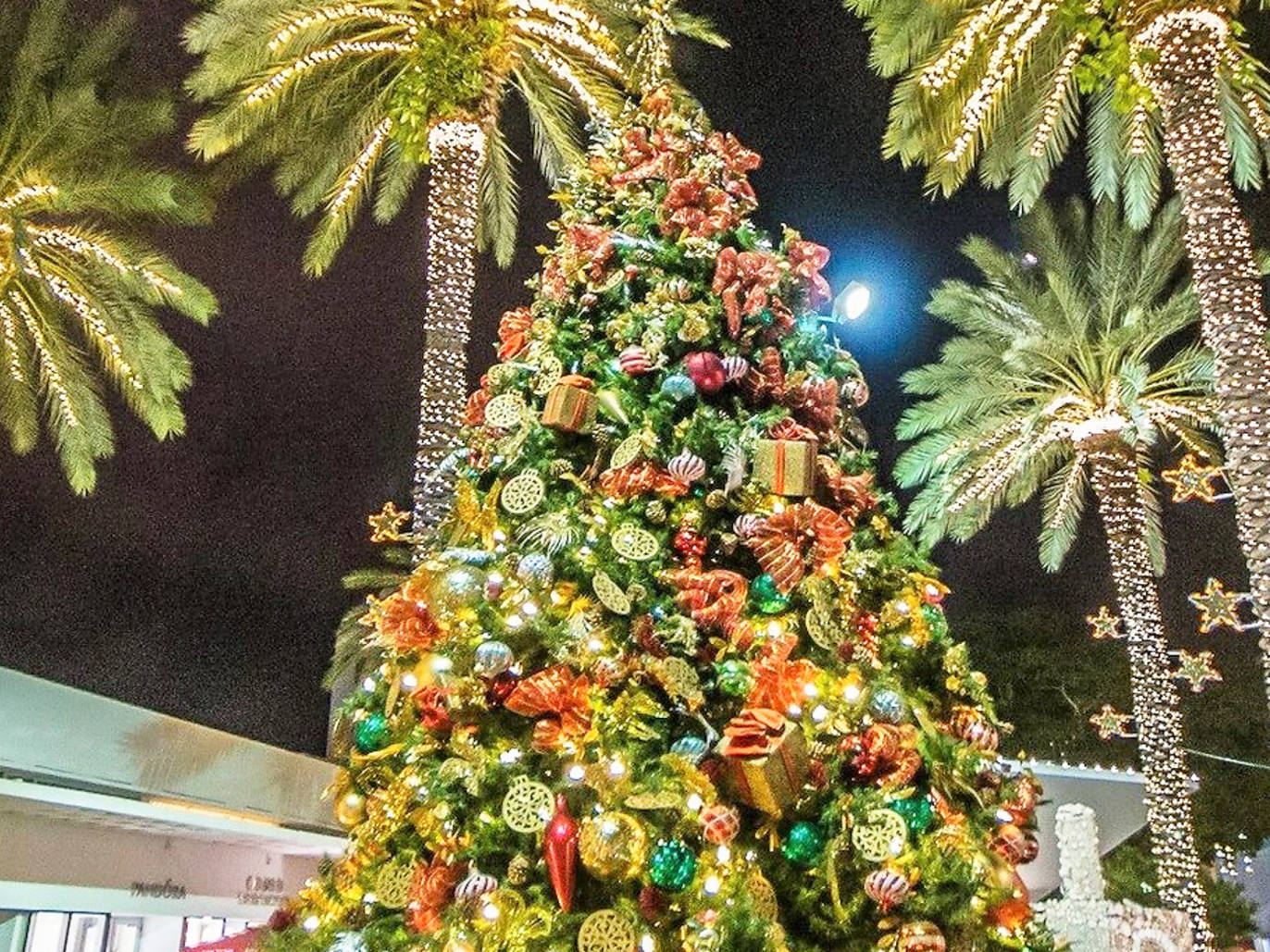 Where to see the most spectacular Christmas lights in Miami