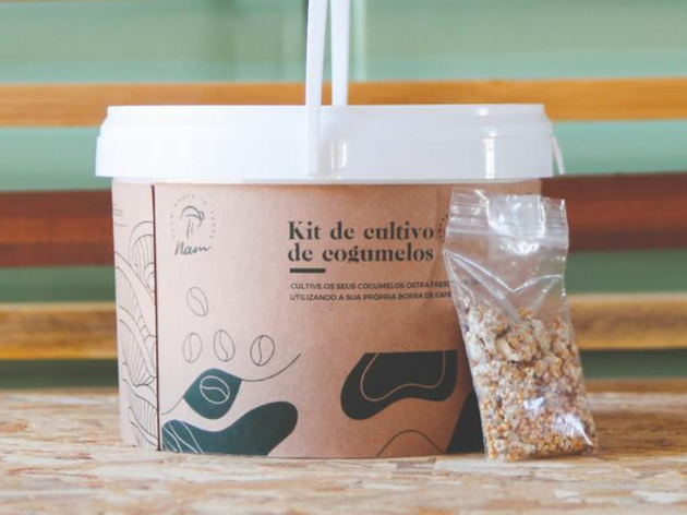 Nãm mushroom presentes de Natal amigos do ambiente