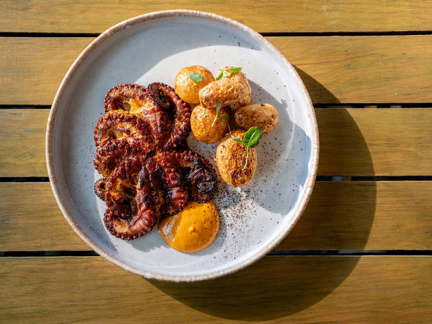 Antolina Antolina, cocina mezcalera en La Condesa