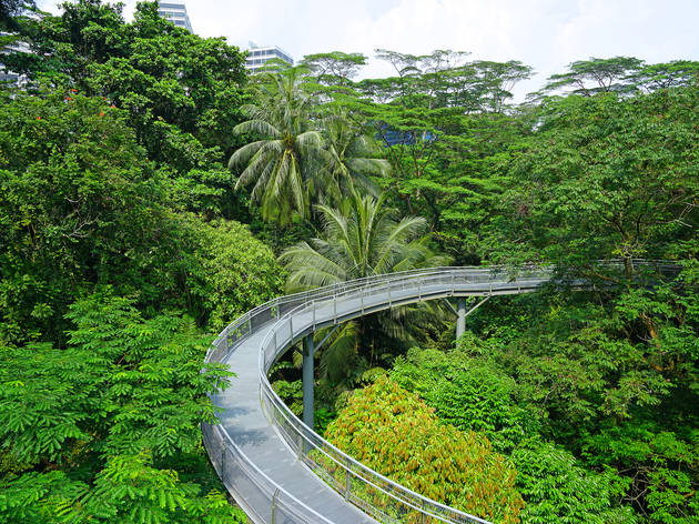 The Southern Ridges The Southern Ridges