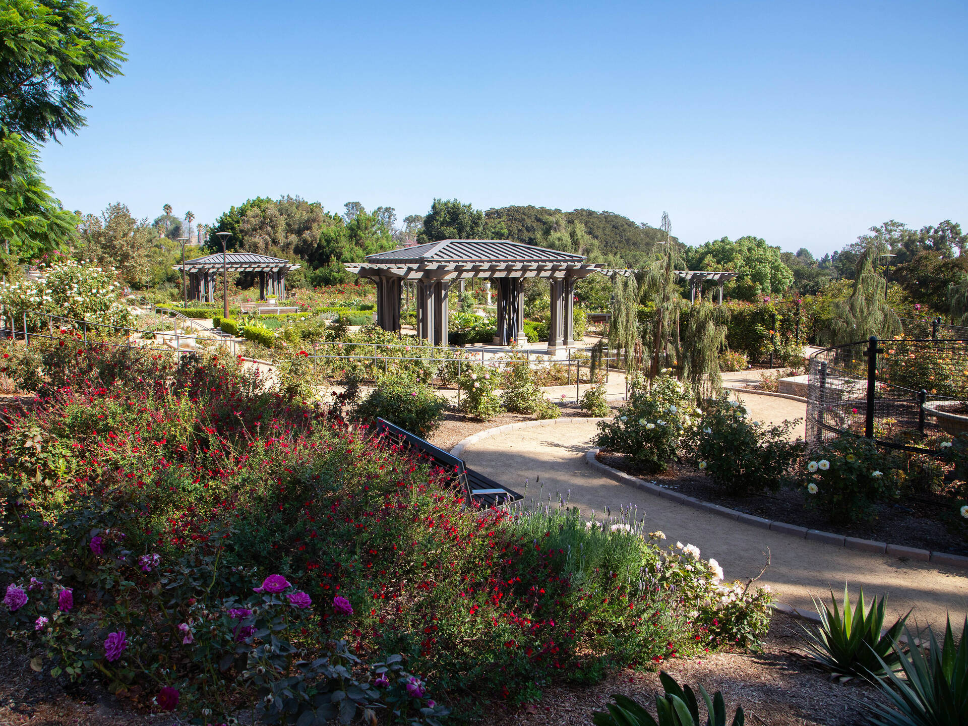 Best Botanical Gardens and Hidden Oases in Los Angeles