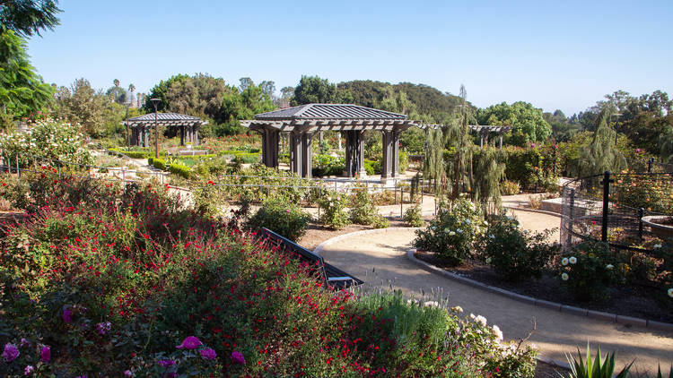 South Coast Botanic Garden, los angeles, california