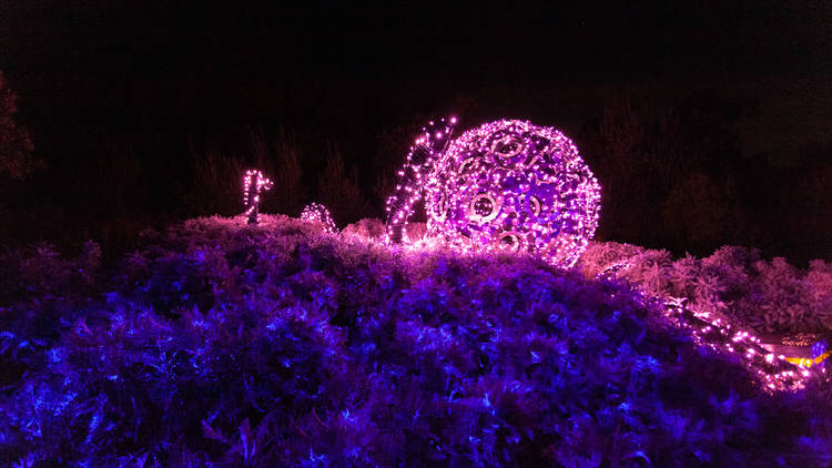 South Coast Botanic Garden’s GLOW