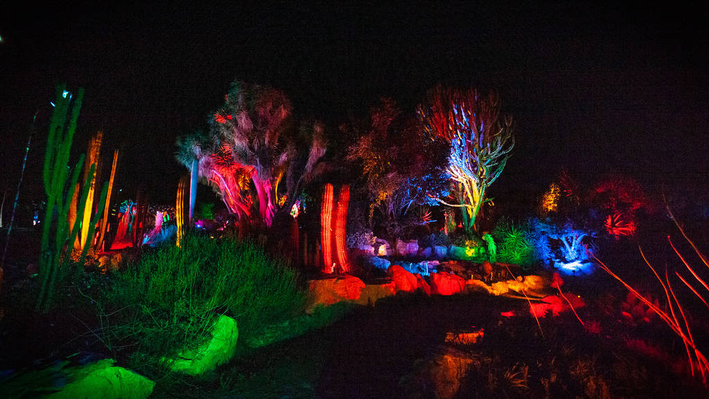 South Coast Botanic Garden’s GLOW | Things to do in Los Angeles