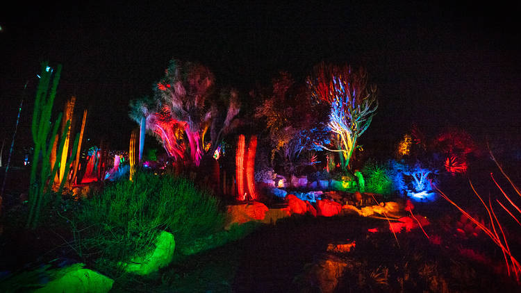 South Coast Botanic Garden’s GLOW