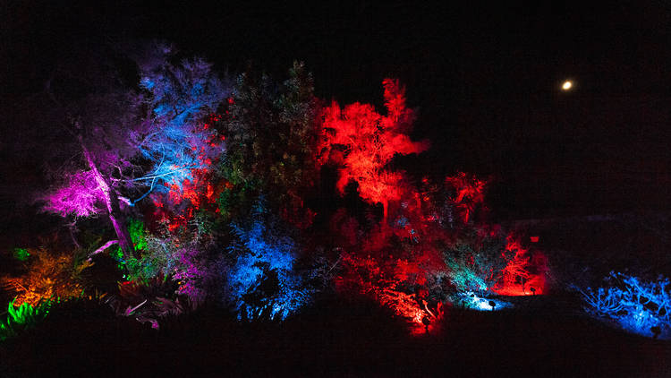 South Coast Botanic Garden’s GLOW