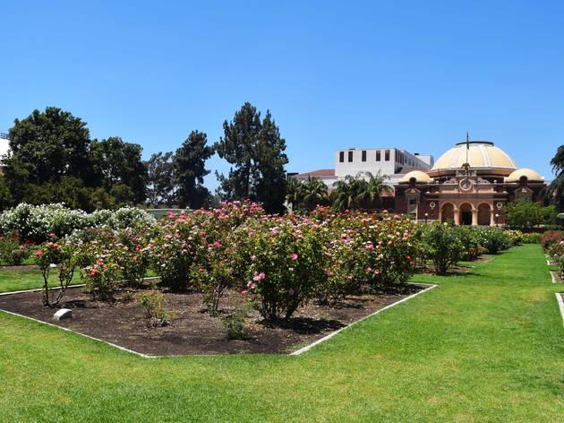 Best Botanical Gardens And Hidden Oases In Los Angeles