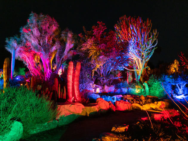 South Coast Botanic Garden's GLOW South Coast Botanic Garden's GLOW