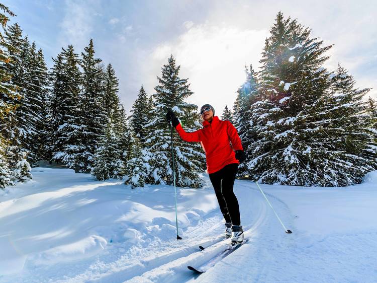 Mont Saint-Sauveur