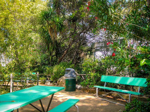 Amir's Garden Los Angeles Amir's Garden Los Angeles