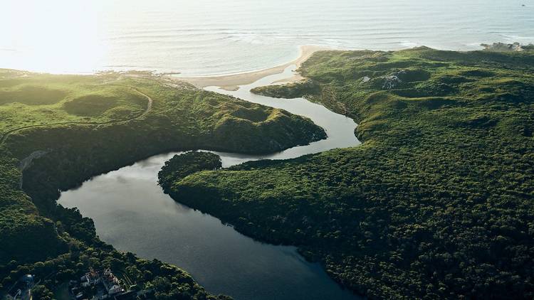 Mouth of a river winding