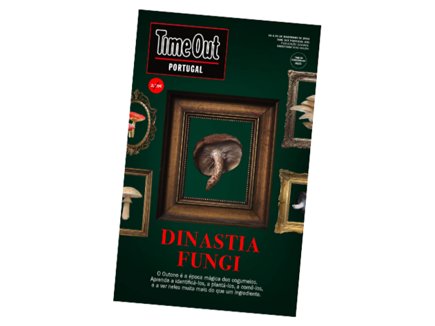 Dinastia fungi Dinastia fungi
