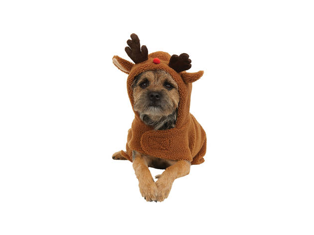 Presentes para Animais – Shopping Natal 2020 Presentes para Animais, Shopping Natal 2020, H&M