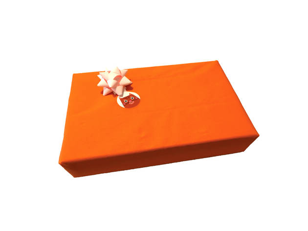 Presentes para Animais – Shopping Natal 2020 Presentes para Animais, Shopping Natal 2020, Kitty Cat Box