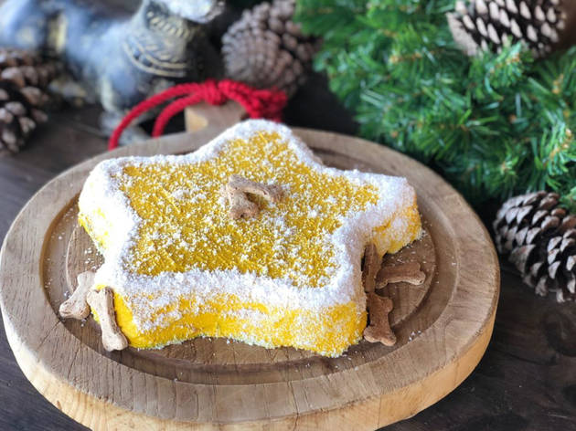 Presentes para Animais – Shopping Natal 2020 Presentes para Animais, Shopping Natal 2020, Cook as Cookies