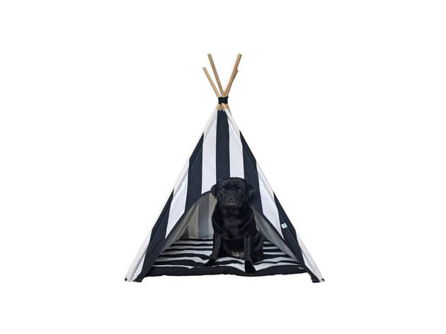 Presentes para Animais – Shopping Natal 2020 Presentes para Animais, Shopping Natal 2020, TeePee