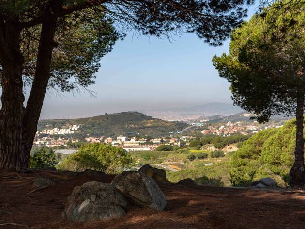 Parc de la Serralada de Marina - Xevi Vilaregut - El rocar, entre Tiana i Alella