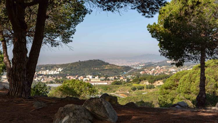 Parc de la Serralada de Marina - Xevi Vilaregut - El rocar, entre Tiana i Alella