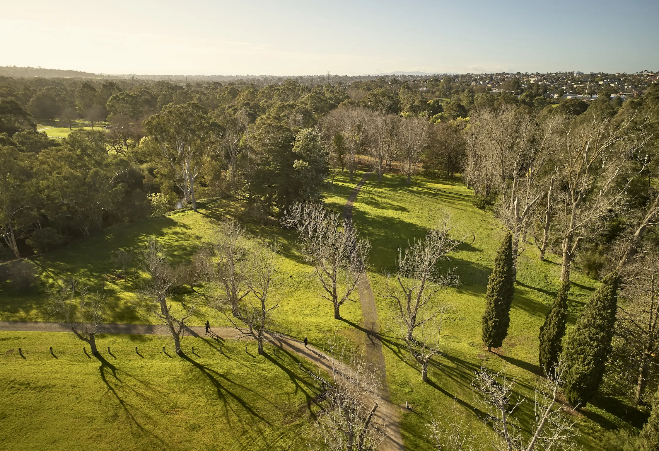 Sills Bend aerial Heidelberg