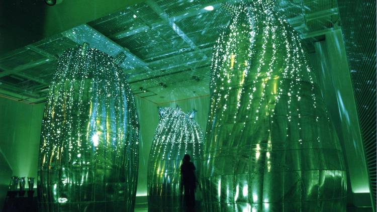 International Art Festival Biwako Biennale
