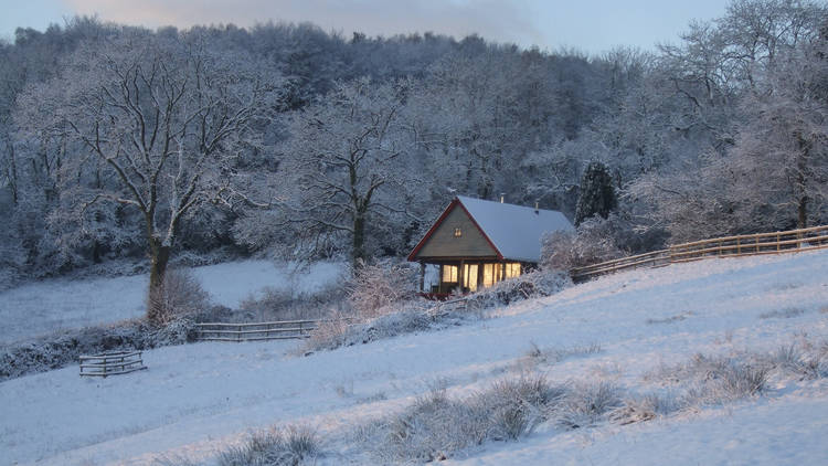 A secluded hut in a Dorest forest