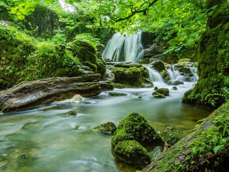 Cool off under a rainforest waterfall