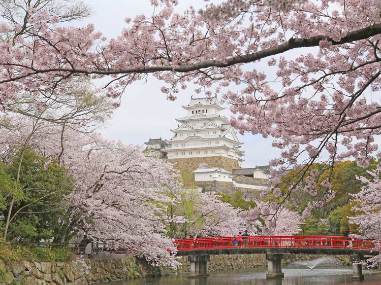 The most beautiful places in Japan