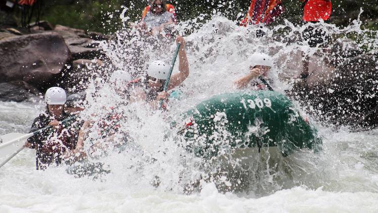 Go whitewater rafting on the Navua River